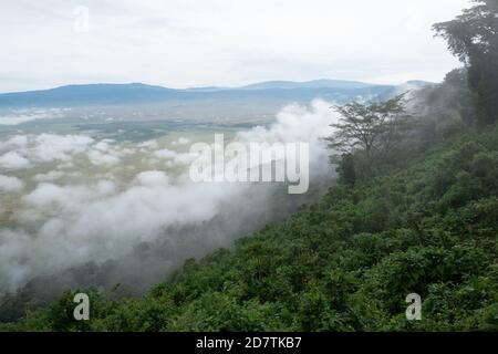 Ngorongoro Conservation Area, ist ein geschütztes Gebiet und ein Weltkulturerbe befindet sich 180 km (110 mi) westlich von Arusha in der Crater Highlands Gebiet von Tan Stockfoto