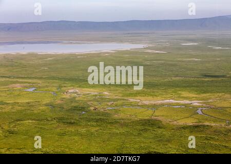 Ngorongoro Conservation Area, ist ein geschütztes Gebiet und ein Weltkulturerbe befindet sich 180 km (110 mi) westlich von Arusha in der Crater Highlands Gebiet von Tan Stockfoto