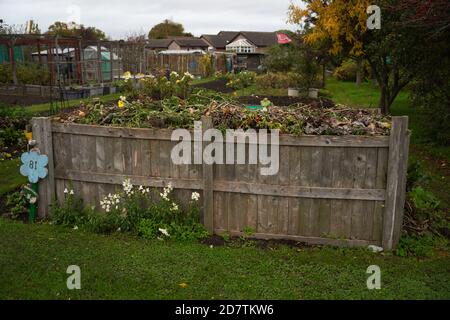 Zuteilung, Gemüse, Pflaster, Komposthaufen, Kohlpflaster, Planung, Layout, organische Ziele, Pflanzen, die Sie anbauen, Ernte, Bio-Gartenarbeit, Brassiken. Stockfoto