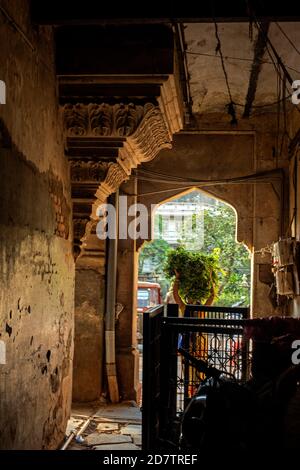 Khande Rao Market, Vadodara, Gujarat, Indien. Stockfoto