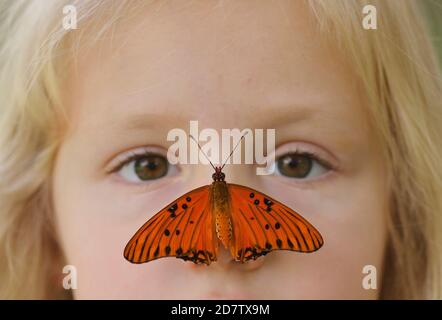 Gulf Fritillary (Agrulis vanillae), Mädchen mit Schmetterling, Hill Country, Central Texas, USA Stockfoto