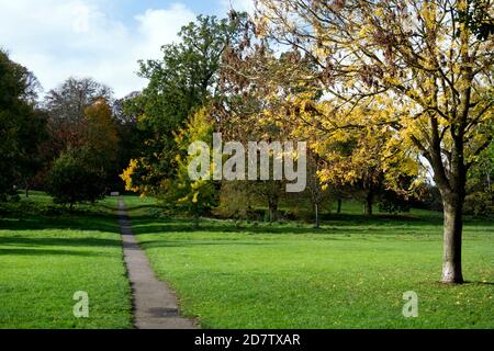 Priory Park im Herbst, Warwick, Warwickshire, England, UK Stockfoto