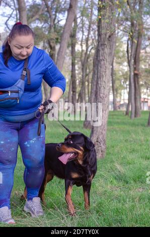 Teil 1 von 5. Außenstanz-Training für Rottweiler Hund. Erwachsene Frau im blauen Trainingsanzug kommt mit Hund an der Leine am Ort des Trainings. Stockfoto