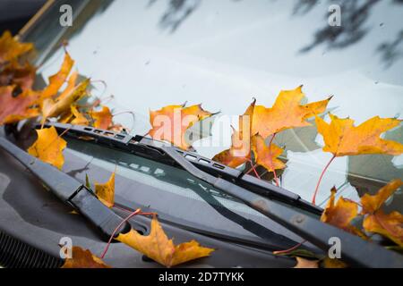 Herbst Blätter auf der Haube eines Autos, Konzept, Jahreszeiten Stockfoto