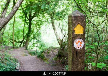 Ein Wegweiser für den North Downs Ridge Circular Walk im grünen Gürtel Londons. Stockfoto