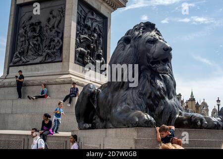 Löwenskulpturen am Fuß der Nelson-Säule am Trafalgar Square in London, Großbritannien Stockfoto