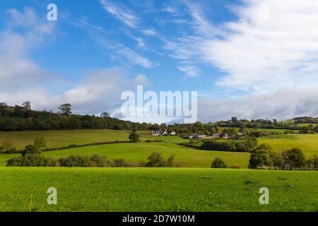 Reiche und grüne Wiese in Devon Stockfoto