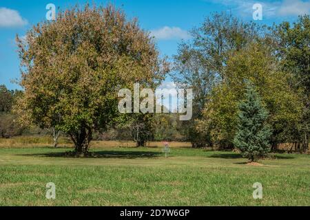 Ein Disc-Golfkorb auf einem von vielen umgebenen Golfplatz Bäume in einem Park mit hohen Gräsern und Wäldern in Der Hintergrund an einem hellen sonnigen Tag im Herbst Stockfoto