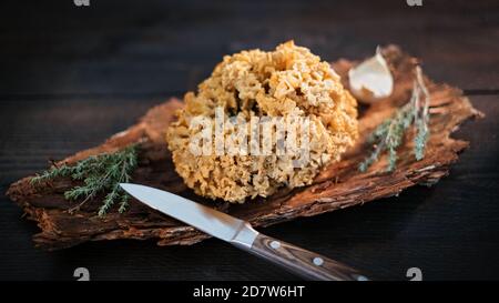 Frische Sparasis auf einer Kiefernrinde schön angeordnet mit Thymian, Rosmarin und Knoblauchblättern auf einem dunkelbraunen Holztisch Stockfoto