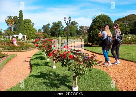 Besucher im Rosenpark im Parque Tres de Febrero, einem Stadtpark in der Nachbarschaft von Palermo in Buenos Aires. Stockfoto