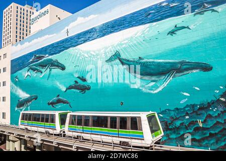 Miami Florida, People MetroMover, kostenloser Bahnservice in der Innenstadt, Meereslebewesen, Wale, Wandgemälde, Seitengebäude, Stockfoto