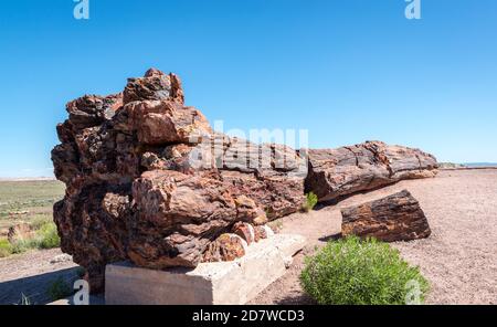 Broken Petrified Logs im Petrified Forest National Park, Arizona-USA Stockfoto