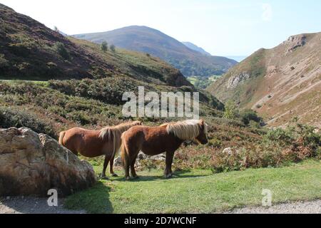 Penmaenmawr Stockfoto