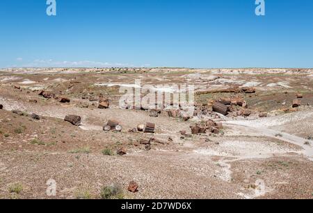 Broken Petrified Logs im Petrified Forest National Park, Arizona-USA Stockfoto