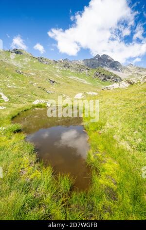 Grüne Wiesen mit Pizzi dei Piani im Hintergrund entlang der Wanderung zu den Baldiscio Seen, Valchiavenna, Vallespluga, Lombardei, Italien Stockfoto
