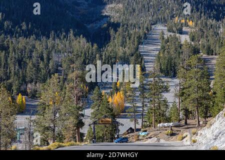 Sonniger Blick auf die Herbstfarbe des Lee Canyon Nevada Stockfoto