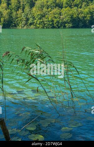 Bonlieu, Frankreich - 09 02 2020: Lake District - Bonlieu See Stockfoto