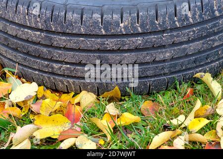 Selektiver Fokus auf die Lauffläche eines Autoreifens, der an einem Herbsttag auf dem Gras liegt. Gelb gefallene Blätter sind verstreut. Saisonaler Reifenwechsel Stockfoto
