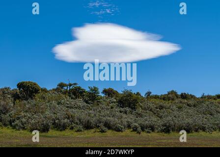 Riesco Island, Chile - 12. Dezember 2008: Flugschüssel Raumschiff weiße Wolke in tiefblauem Himmel über Gürtel von grünem Busch und Grünland. Stockfoto