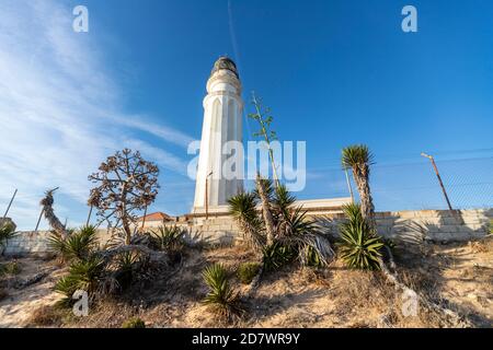 Leuchtturm Trafalgar, Kap Trafalgar, Provinz Cadiz, Andalusien, Spanien Stockfoto