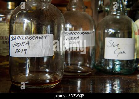 Fast fertig demijohns von hausgemachten alkoholischen Spirituosen Stockfoto