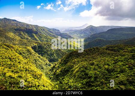 Black River Gorges National Park auf Mauritius, Indischer Ozean, Afrika Stockfoto