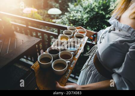 Frau servieren Luwak Kaffee & Tee Tests, Bali Stockfoto