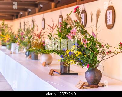 shibuya, japan - november 02 2019: Ausstellung japanischer Ikebana-Blumenkunst im Innenhof des Shinto Meiji-Jingu Shrine während der Gedenkfeier Stockfoto