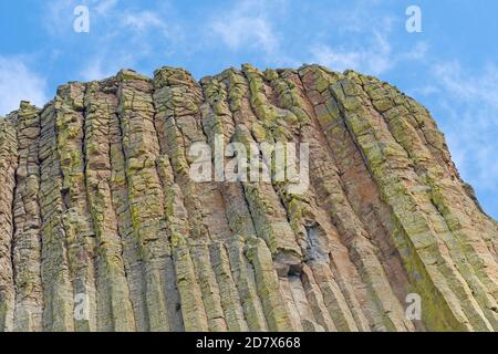 Erodierte Spalte Details an der Spitze des Devils Tower in Devils Tower National Monument in Wyoming Stockfoto