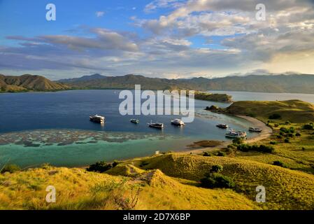 Nehmen @Komodo Nationalpark Stockfoto