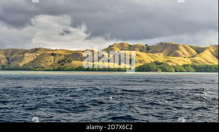 Nehmen @Komodo Nationalpark Stockfoto