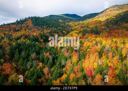 Luftaufnahme der Bergwälder im Herbst mit Herbstfarben in Adirondacks, New York, New England Stockfoto