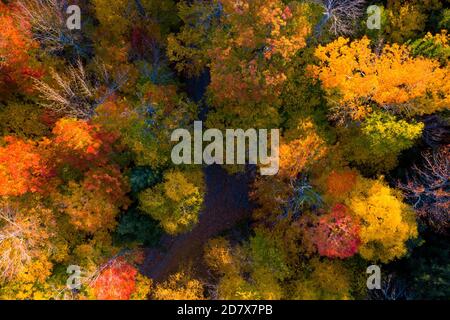 Luftaufnahme des Herbstwaldes mit Herbstfarben in Adirondacks, New York, New England Stockfoto