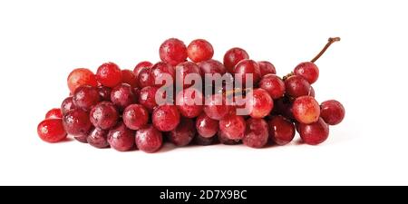 Bündel von reifen süßen rosa Trauben mit Wassertropfen isoliert auf weißem Hintergrund. Köstliche Dessertfrüchte und Beeren, vegetarische und gesunde Ernährung. Stockfoto