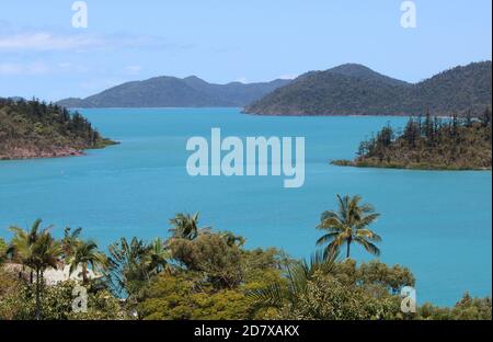 Shute Harbour, in der Nähe von Airlie Beach, an der Whitsunday Coast, Queensland, Australien. Stockfoto