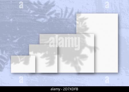 Mehrere horizontale und vertikale Blätter aus weißem strukturiertem Papier vor einem blauen Wandhintergrund. Mockup mit einer Überlagerung von Pflanzenschatten. Tageslicht Stockfoto
