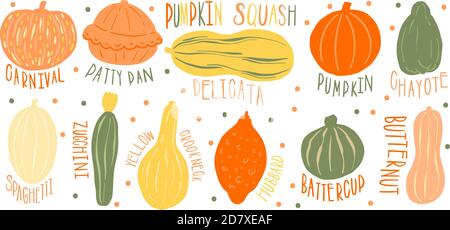 Kürbis Set Typ Name Collection.Varietäten Form und Farbe.Collection handgezeichneten Element Lebensmittel. Stock Vektor