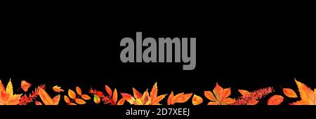 Autumn Aquarell-Banner mit Blättern und Ästen, mit Copyspace, auf schwarzem Hintergrund Stockfoto