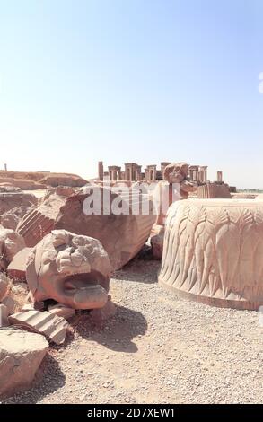 Ruinen von Säulen und Löwen Statuen, Apadana Palast von Darius dem Großen, Persepolis, Iran gebaut. UNESCO-Weltkulturerbe Stockfoto