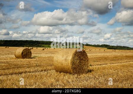 Goldene Strohrollen in der Landschaft von Lettland, Erntezeit Landschaft Stockfoto