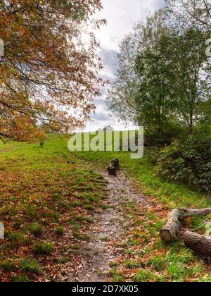 Hampstead Heath im Herbst, mit den Blättern auf den Bäumen drehen, ein idealer Ort für Bewegung und Gesundheit während der Pandemie und darüber hinaus Stockfoto