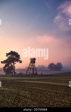 Ländliche neblige Landschaft mit Silhouette eines Jagdturms auf einem Feld bei Sonnenaufgang. Stockfoto