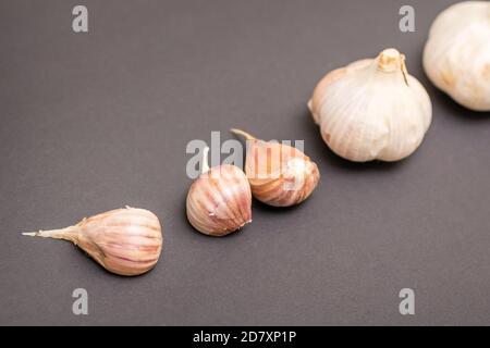 Stillleben von zwei Knoblauchköpfen und Knoblauchzehen gruppiert Auf dunklem Hintergrund Stockfoto