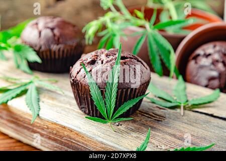 Kochen Backen Schokolade Unkraut Muffins. Cupcake mit Marihuana auf Holztisch. Schokolade Cupcake Muffins mit Cannabis Unkraut cbd. Medizinisches Marihuana Stockfoto