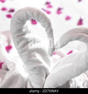 Zwei Handtuchschwäne auf dem Bett, mit rosa Blütenblättern bestreut. Das Handtuch sieht aus wie Herzform und es ist für Paar in Honigmond vorzubereiten. Ideal für Veranstaltungen und Stockfoto