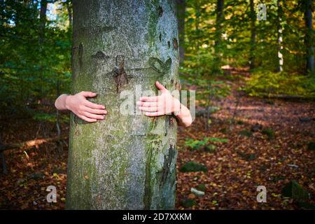 Kind Mädchen stehen hinter und geben Umarmung zu Baum im Wald. Konzept des globalen Problems von Kohlendioxid und der globalen Erwärmung. Liebe zur Natur Stockfoto