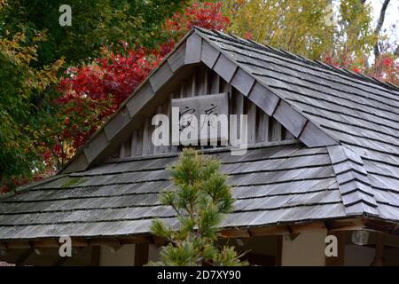 Japanischer Garten im National Botanical Garden of Wales Carmarthenshire Wales Großbritannien Stockfoto