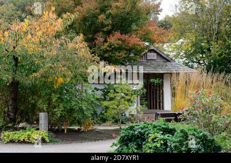 Japanischer Garten im National Botanical Garden of Wales Carmarthenshire Wales Großbritannien Stockfoto