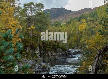 Der Fluss Affric in Glen Affric, National Nature Reserve und Caledonian Forest Reserve, im Herbst; Highland, Schottland. Stockfoto