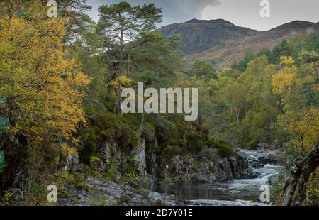 Der Fluss Affric in Glen Affric, National Nature Reserve und Caledonian Forest Reserve, im Herbst; Highland, Schottland. Stockfoto
